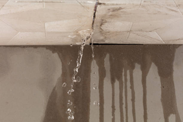 Professional Flood Damage Cleanup technician working in Hales Corners, WI